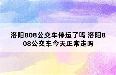 洛阳808公交车停运了吗 洛阳808公交车今天正常走吗